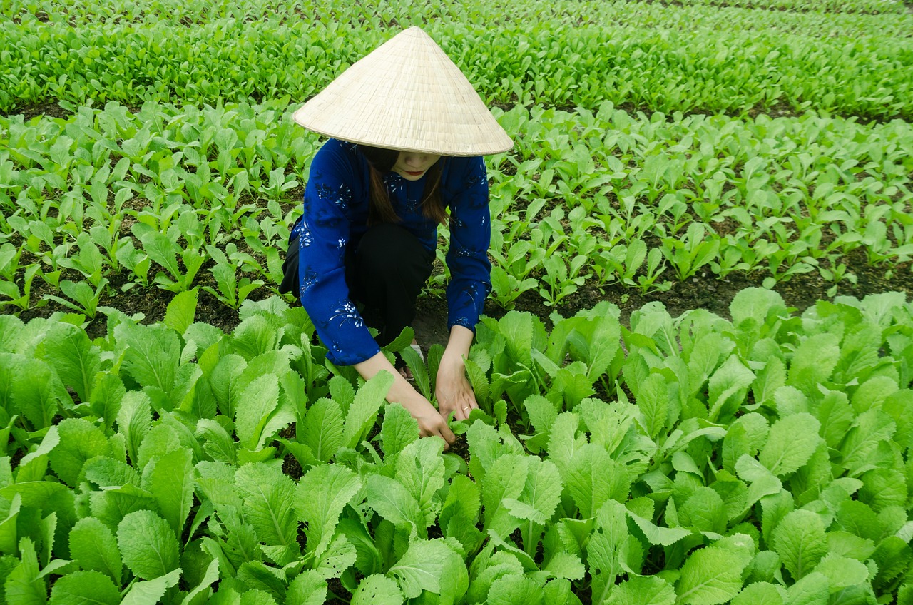 心素 第29页