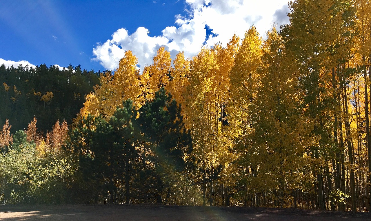 最新秋天早安图片唤醒你的秋日清晨